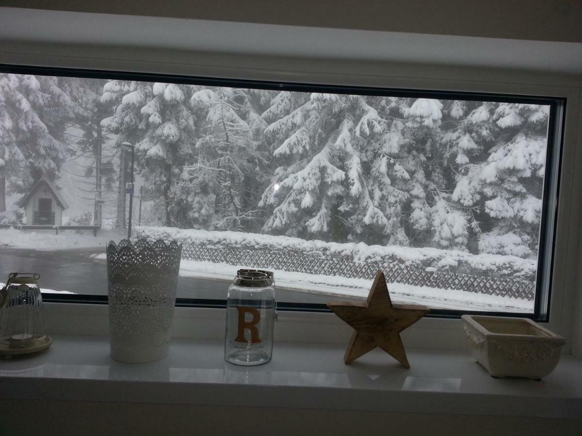 Ferienhaus Bergidylle Winterberg Exteriör bild
