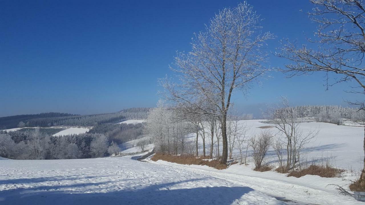 Ferienhaus Bergidylle Winterberg Exteriör bild