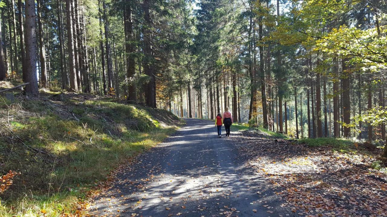 Ferienhaus Bergidylle Winterberg Exteriör bild