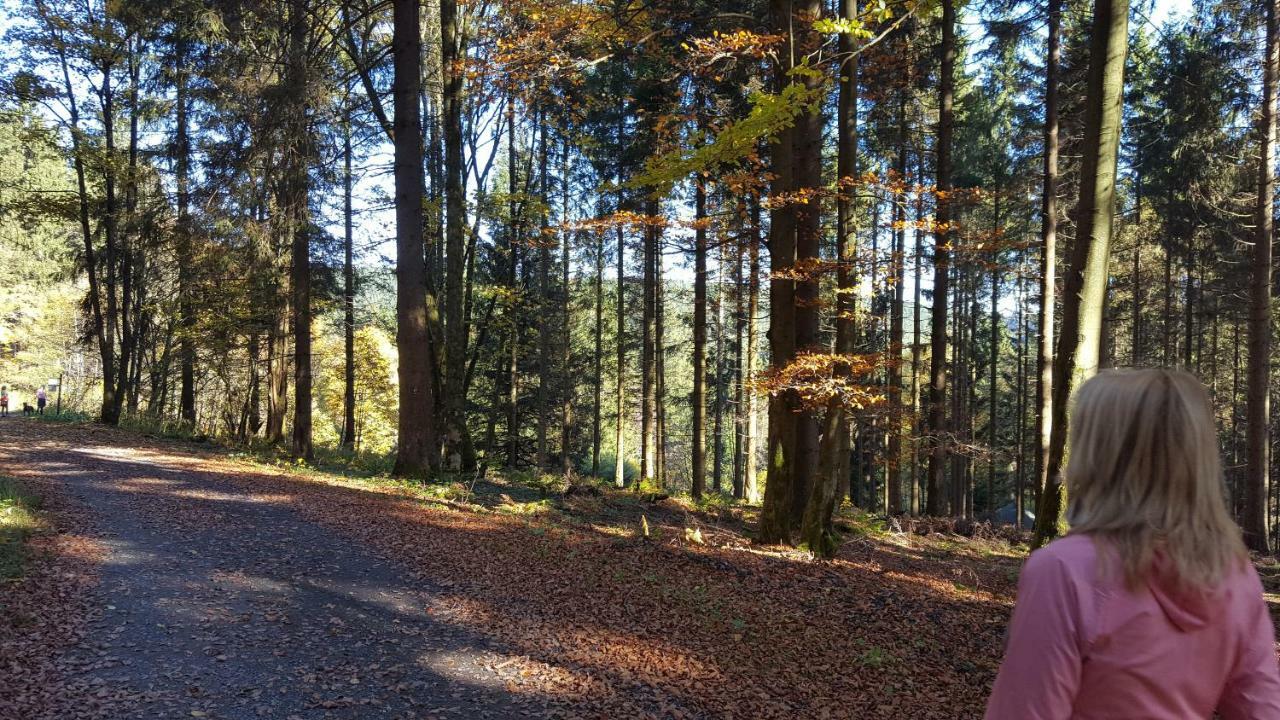 Ferienhaus Bergidylle Winterberg Exteriör bild