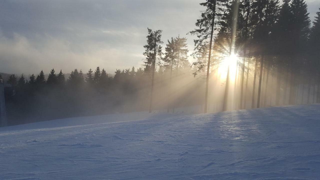 Ferienhaus Bergidylle Winterberg Exteriör bild