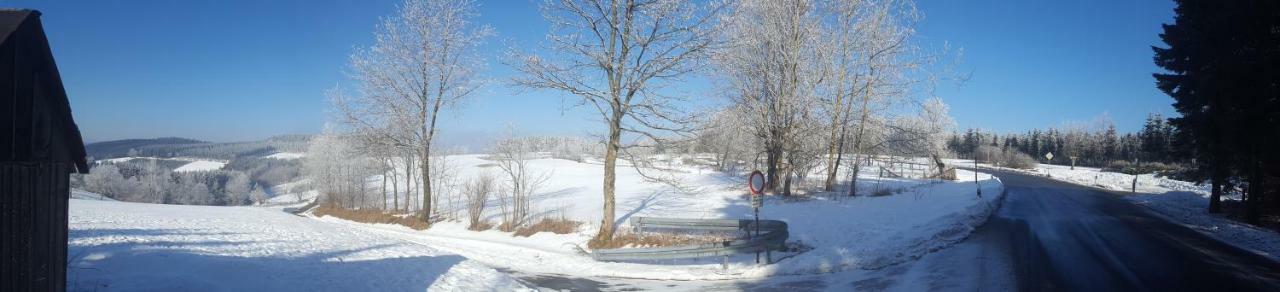 Ferienhaus Bergidylle Winterberg Exteriör bild