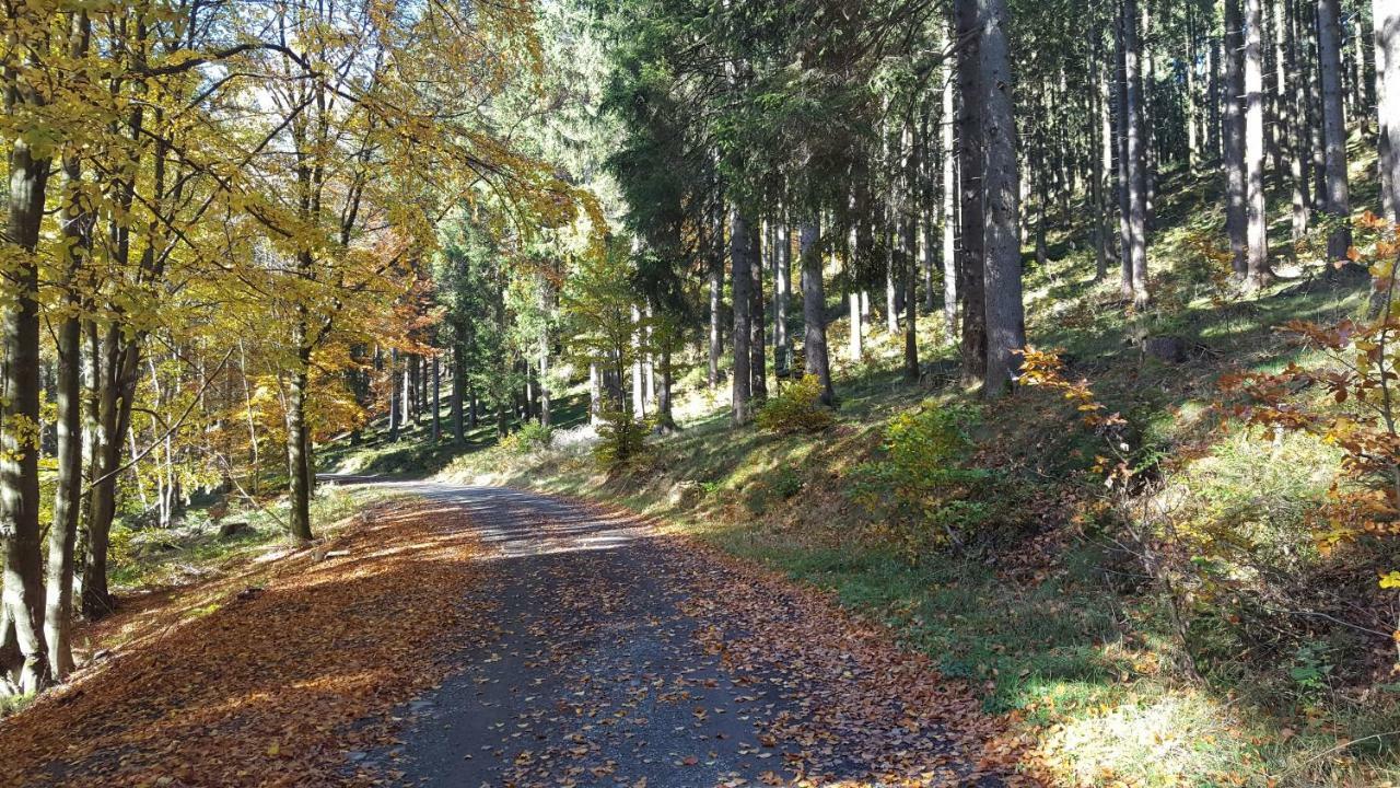 Ferienhaus Bergidylle Winterberg Exteriör bild