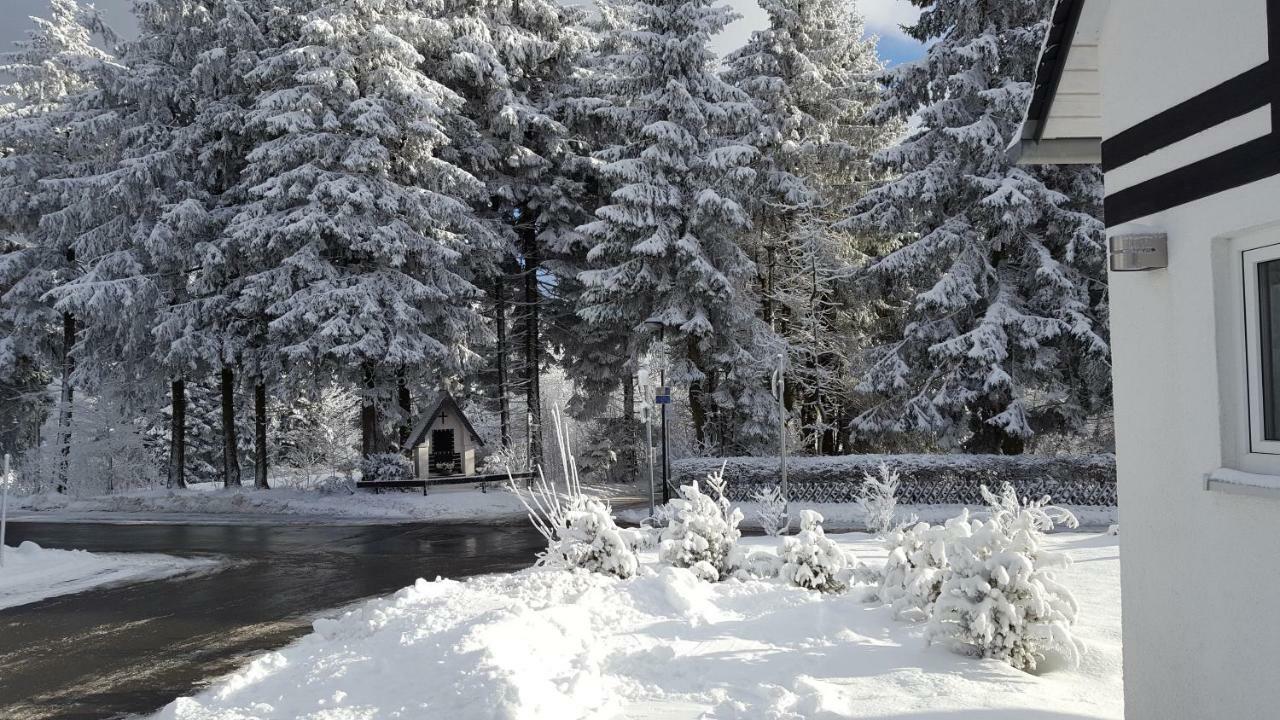 Ferienhaus Bergidylle Winterberg Exteriör bild