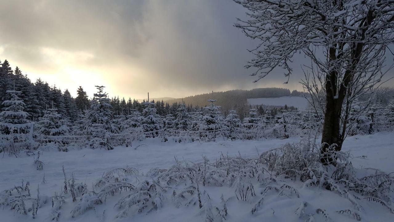 Ferienhaus Bergidylle Winterberg Exteriör bild